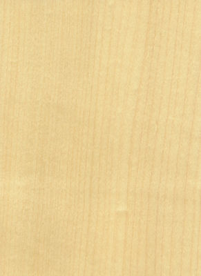 Voeg elegantie toe aan de ruimte Maple veneer panelen Flocculente schaduwen Textuur manifestaties