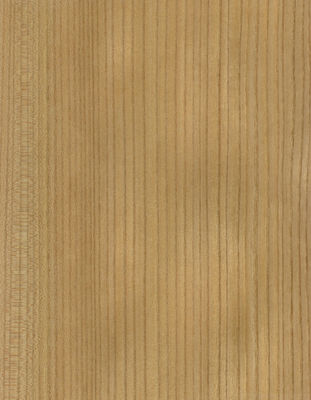 Massivhout Amerikaanse Elm Sheets Grade A voor Quarter Cut Crown Grain Natuurlijke kleur voor deurgevel 3200mm Up